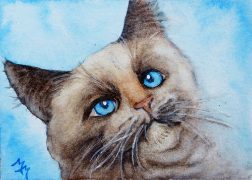 "Cat Portrait" original fine art by Monique Morin Matson "Cat Portrait" original fine art by Monique Morin Matson