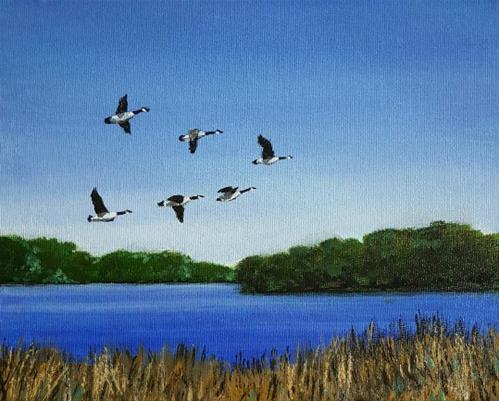 "Geese over Redhaw" original fine art by Steve Gibson "Geese over Redhaw" original fine art by Steve Gibson