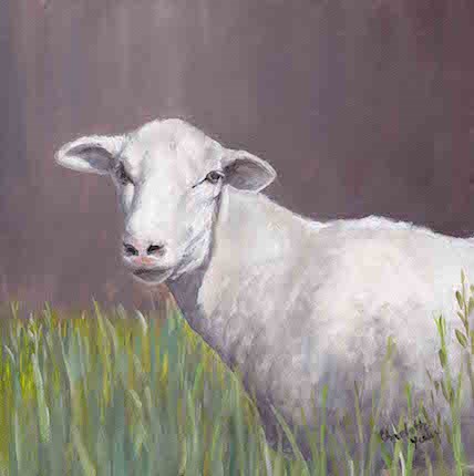 "Sheep" original fine art by Charlotte Yealey "Sheep" original fine art by Charlotte Yealey