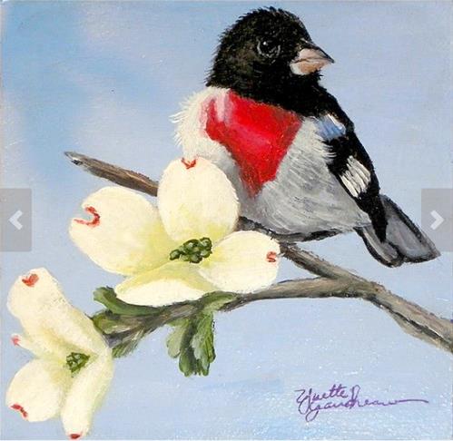 "Hiding in The Dogwood Rose-breasted Grosbeak and Dogwood" original fine art by Yvette Gaudreau "Hiding in The Dogwood Rose-breasted Grosbeak and Dogwood" original fine art by Yvette Gaudreau
