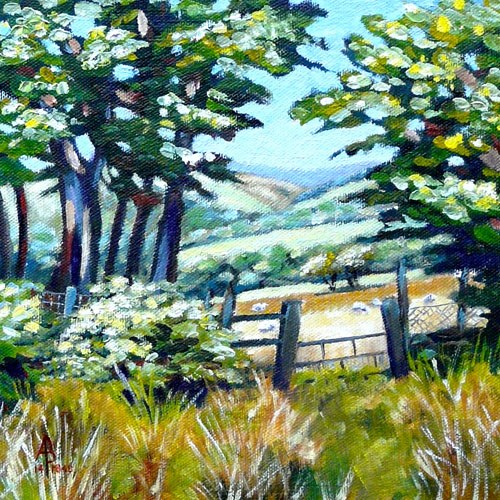 "Sheep beyond the gate" original fine art by Alix Baker PCAFAS AUA "Sheep beyond the gate" original fine art by Alix Baker PCAFAS AUA