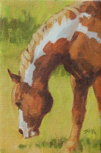 "Meadow XXI" original fine art by Susan Ashmore "Meadow XXI" original fine art by Susan Ashmore