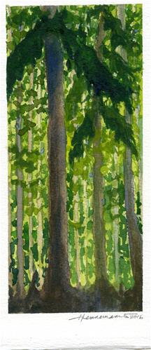"Tall Trees" original fine art by Eileen Hennemann "Tall Trees" original fine art by Eileen Hennemann