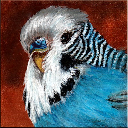 "Pretty Boy, Miniature, Original Acrylic Painting" original fine art by Yvette Gaudreau "Pretty Boy, Miniature, Original Acrylic Painting" original fine art by Yvette Gaudreau
