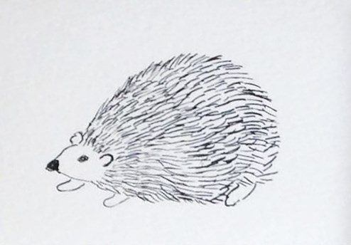 "Prickles" original fine art by Susan Medyn "Prickles" original fine art by Susan Medyn
