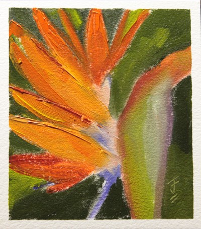 "Bird of Paradise" original fine art by Jane Frederick "Bird of Paradise" original fine art by Jane Frederick