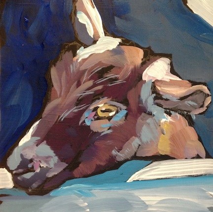 "Brown Goat" original fine art by Kat Corrigan "Brown Goat" original fine art by Kat Corrigan