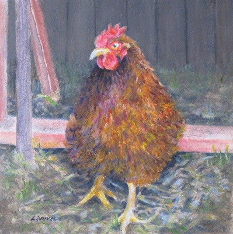 "Barnyard Chicken" original fine art by Linda Demers "Barnyard Chicken" original fine art by Linda Demers