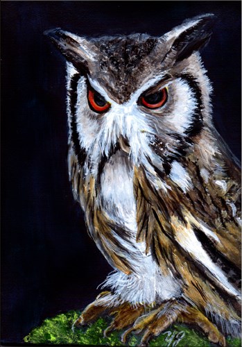 "Orignal Miniature Southern-White Face Owl" original fine art by Yvette Gaudreau "Orignal Miniature Southern-White Face Owl" original fine art by Yvette Gaudreau