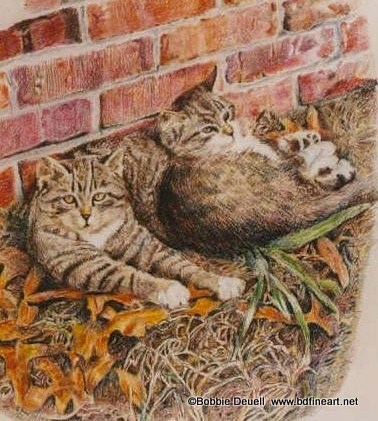 "#15 2 Tabbies in the Leaves" original fine art by Bobbie Deuell "#15 2 Tabbies in the Leaves" original fine art by Bobbie Deuell