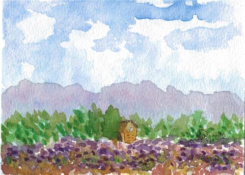 "Lavendar Field" original fine art by Donna Vieth "Lavendar Field" original fine art by Donna Vieth