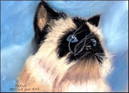"My Precious Merlin" original fine art by Patricia Ann Rizzo "My Precious Merlin" original fine art by Patricia Ann Rizzo