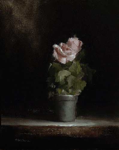 "Rose Plant" original fine art by Neil Carroll "Rose Plant" original fine art by Neil Carroll