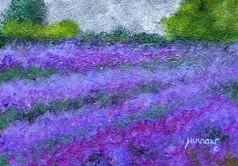 "ORIGINAL PAINTING OF EVERGREEN LAVENDER FARM IN APPOMATTOX, VA." original fine art by Sue Furrow "ORIGINAL PAINTING OF EVERGREEN LAVENDER FARM IN APPOMATTOX, VA." original fine art by Sue Furrow