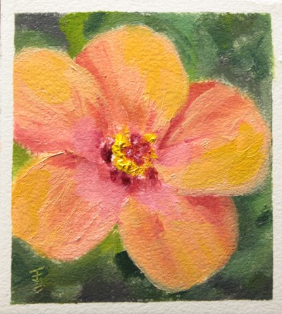 "Hibiscus Bloom" original fine art by Jane Frederick "Hibiscus Bloom" original fine art by Jane Frederick