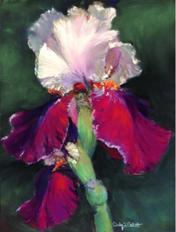 "Botanical Garden - 2" original fine art by Cindy Gillett "Botanical Garden - 2" original fine art by Cindy Gillett