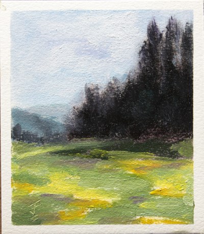 "Colorado Meadow" original fine art by Jane Frederick "Colorado Meadow" original fine art by Jane Frederick