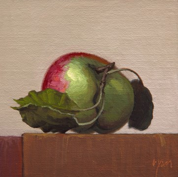 "Hand-picked Red and Green Apple with a Light Background" original fine art by Abbey Ryan "Hand-picked Red and Green Apple with a Light Background" original fine art by Abbey Ryan