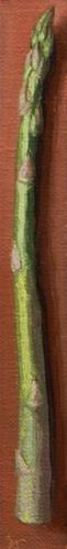 "Asparagus Spear" original fine art by Abbey Ryan "Asparagus Spear" original fine art by Abbey Ryan