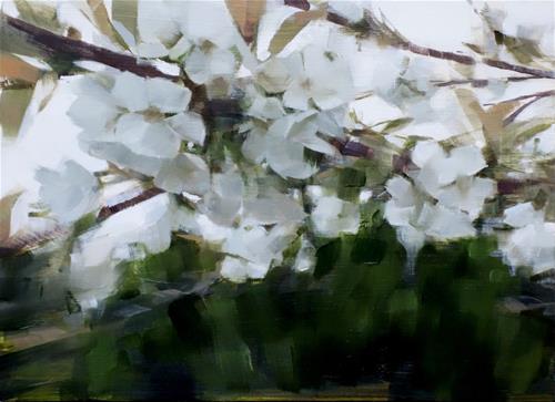 "Pendula Blossoms, Brooklyn Botanic Garden (no.108)" original fine art by Michael William "Pendula Blossoms, Brooklyn Botanic Garden (no.108)" original fine art by Michael William