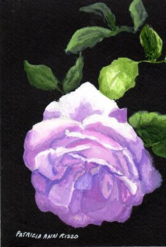 "Lavender Rose at Sunrise" original fine art by Patricia Ann Rizzo "Lavender Rose at Sunrise" original fine art by Patricia Ann Rizzo