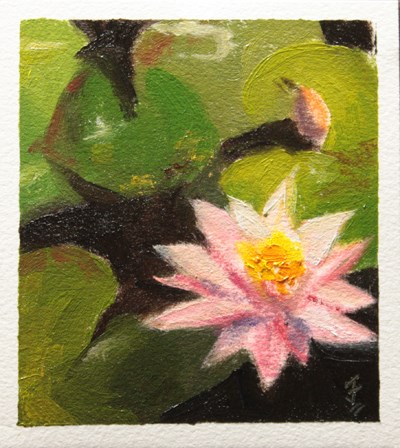 "Water Lily" original fine art by Jane Frederick "Water Lily" original fine art by Jane Frederick