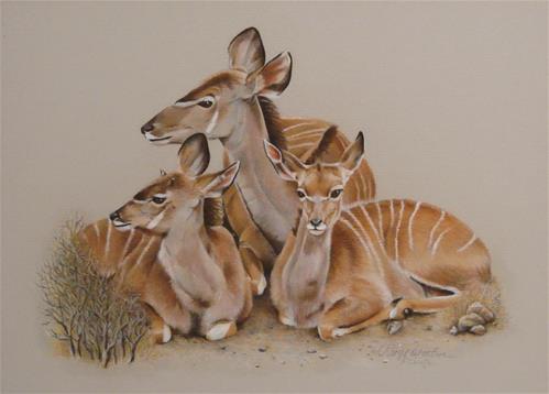 "Greater Kudu" original fine art by Cheryl Plautz "Greater Kudu" original fine art by Cheryl Plautz