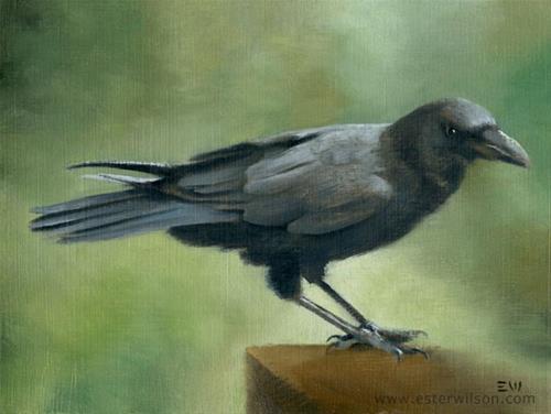 "Crow" original fine art by Ester Wilson "Crow" original fine art by Ester Wilson