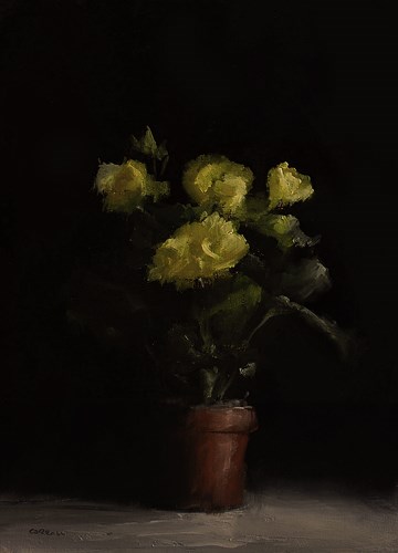 "Begonias" original fine art by Neil Carroll "Begonias" original fine art by Neil Carroll