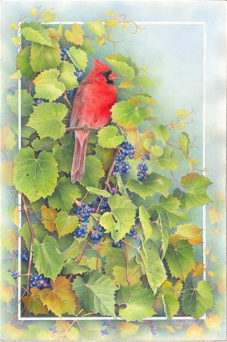 "Cardinal in the Grape Vine" original fine art by Cheryl Plautz "Cardinal in the Grape Vine" original fine art by Cheryl Plautz