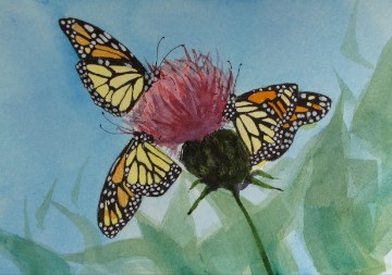 "Monarch#3" original fine art by Christine Holzschuh "Monarch#3" original fine art by Christine Holzschuh