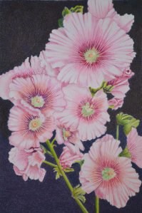 "Pink Hollyhocks" original fine art by Robert Frankis "Pink Hollyhocks" original fine art by Robert Frankis