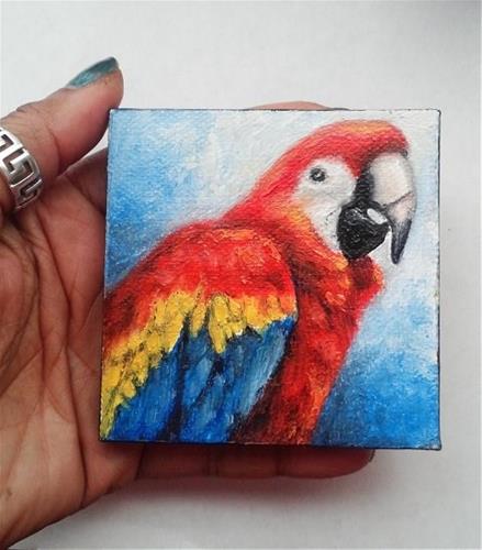 "Macaw Pet Bird Portrait" original fine art by Camille Morgan "Macaw Pet Bird Portrait" original fine art by Camille Morgan