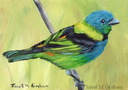 "Green Headed Tanager ACEO" original fine art by Janet Graham "Green Headed Tanager ACEO" original fine art by Janet Graham