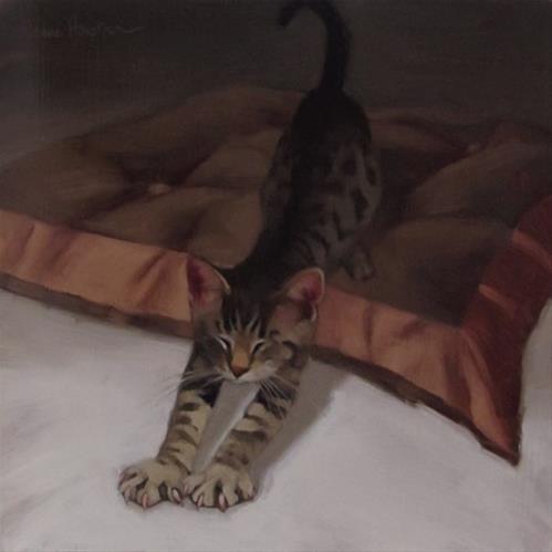 "Tabby Stretches" original fine art by Diane Hoeptner "Tabby Stretches" original fine art by Diane Hoeptner