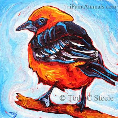 "A Friend in High Places - 1 Bird Painting by Tod C Steele" original fine art by Tod Steele "A Friend in High Places - 1 Bird Painting by Tod C Steele" original fine art by Tod Steele
