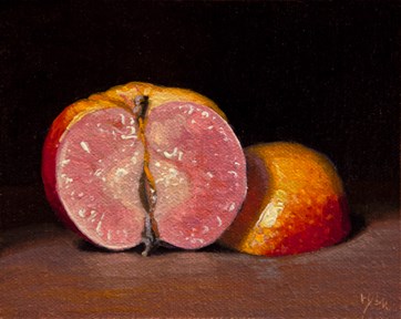 "Pink Pearl Apple (the light, the shade) (+ 100 years old)" original fine art by Abbey Ryan "Pink Pearl Apple (the light, the shade) (+ 100 years old)" original fine art by Abbey Ryan