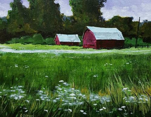 "Queen Annes Lace" original fine art by Steve Gibson "Queen Annes Lace" original fine art by Steve Gibson