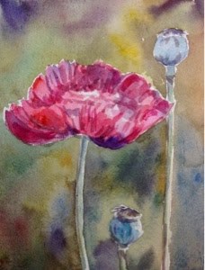 "Pink Poppy" original fine art by Lyn Gill "Pink Poppy" original fine art by Lyn Gill