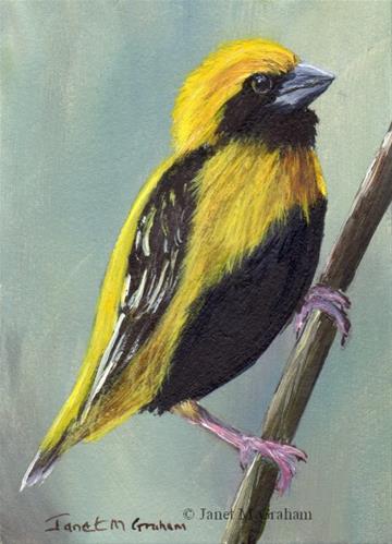 "Yellow Crowned Bishop ACEO" original fine art by Janet Graham "Yellow Crowned Bishop ACEO" original fine art by Janet Graham