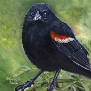 "Rainy Redwing" original fine art by Mariko Irie "Rainy Redwing" original fine art by Mariko Irie