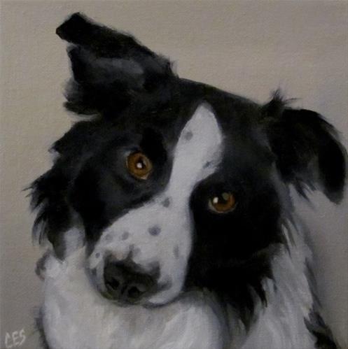 "Border Collie" original fine art by ~ces~ Christine E. S. Code "Border Collie" original fine art by ~ces~ Christine E. S. Code