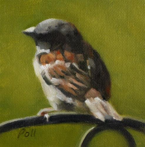 "Sunlit Sparrow" original fine art by Pamela Poll "Sunlit Sparrow" original fine art by Pamela Poll