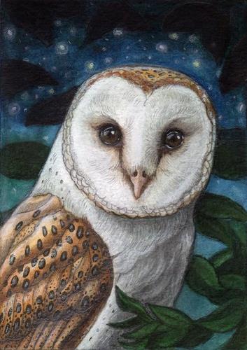 "Barn Owl at Night" original fine art by Lisa Ferguson "Barn Owl at Night" original fine art by Lisa Ferguson