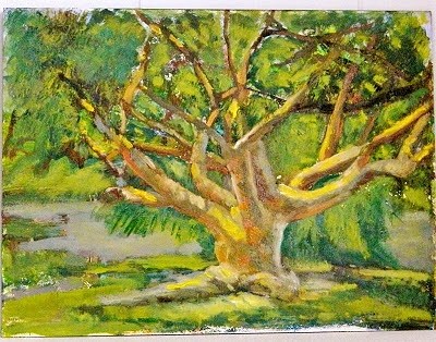 "Gumbo Limbo Tree" original fine art by Sharon Yarbrough "Gumbo Limbo Tree" original fine art by Sharon Yarbrough