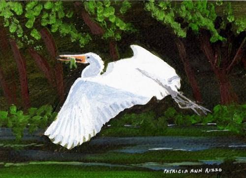 "Gliding Egret" original fine art by Patricia Ann Rizzo "Gliding Egret" original fine art by Patricia Ann Rizzo
