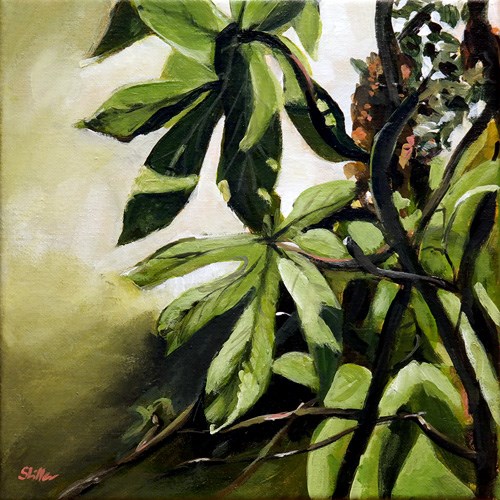 "1547 Aralia" original fine art by Dietmar Stiller "1547 Aralia" original fine art by Dietmar Stiller