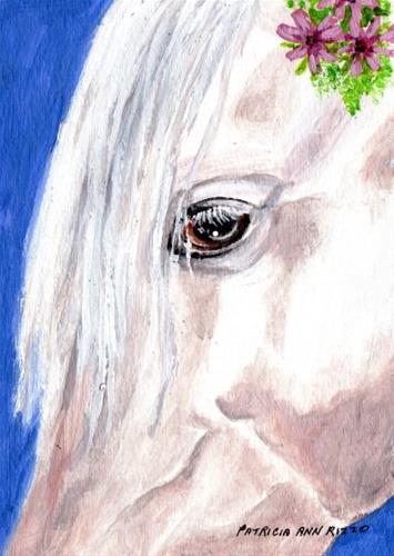 "White Horse Head Study" original fine art by Patricia Ann Rizzo "White Horse Head Study" original fine art by Patricia Ann Rizzo