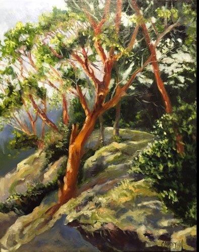 "Pender Island Arbutus II" original fine art by Carolynn Doan "Pender Island Arbutus II" original fine art by Carolynn Doan