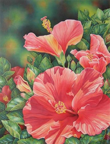 "Hybiscus" original fine art by Cheryl Plautz "Hybiscus" original fine art by Cheryl Plautz